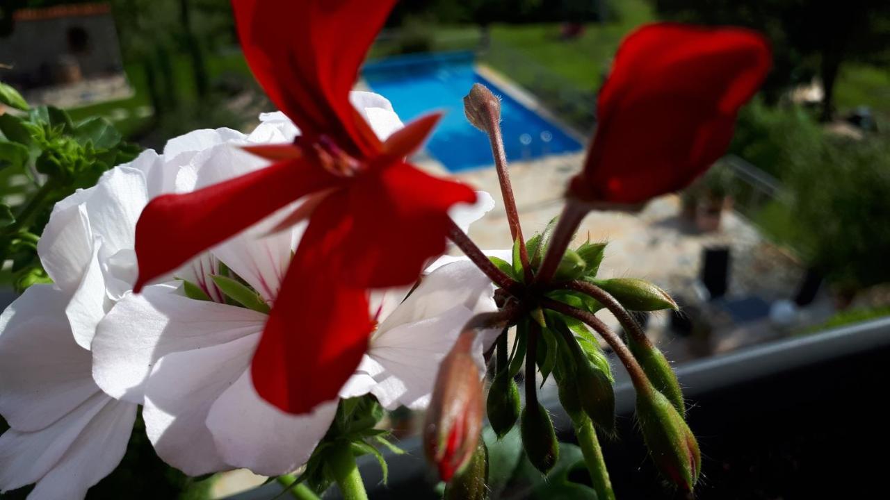 Ferienwohnung Pension Am Weinberg Mainstockheim Dış mekan fotoğraf